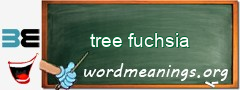 WordMeaning blackboard for tree fuchsia